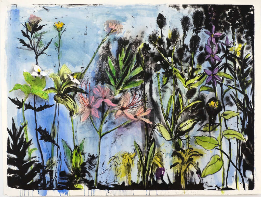 MF_Jim_Dine_Wildflowers_of_New_York_I