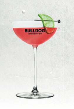 Durch Welt und Nacht mit Bulldog Gin