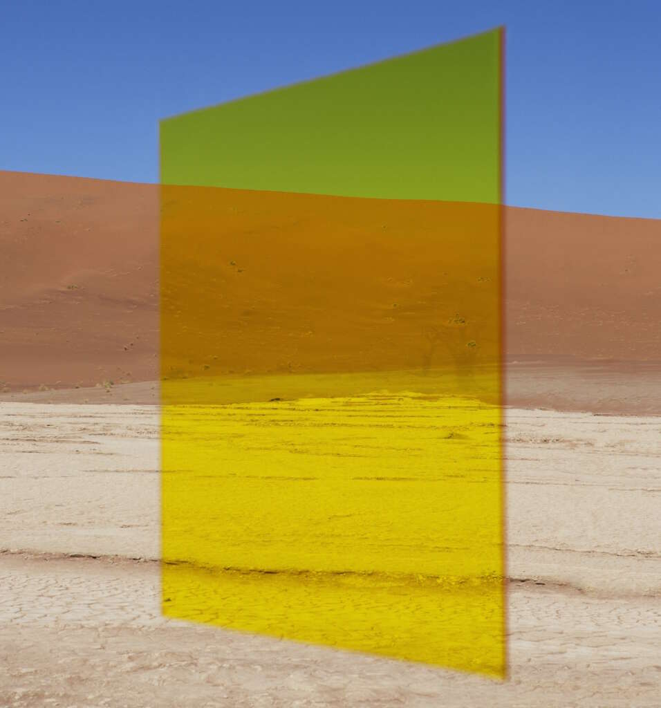 Viviane-Sassen-Fellow-Vlei