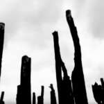Trentemøller – In The Garden